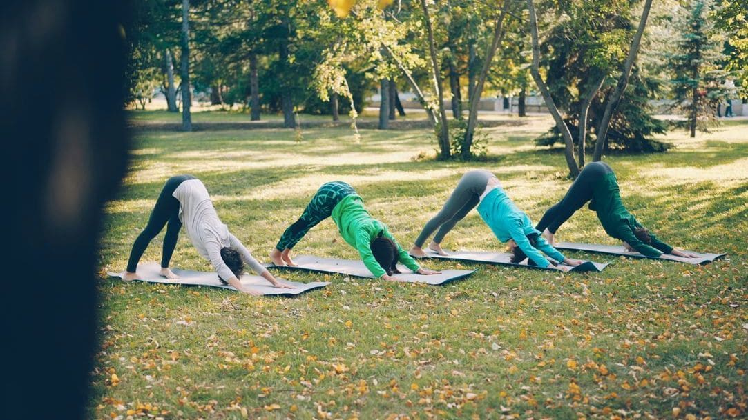 Alpenflow Yoga 1