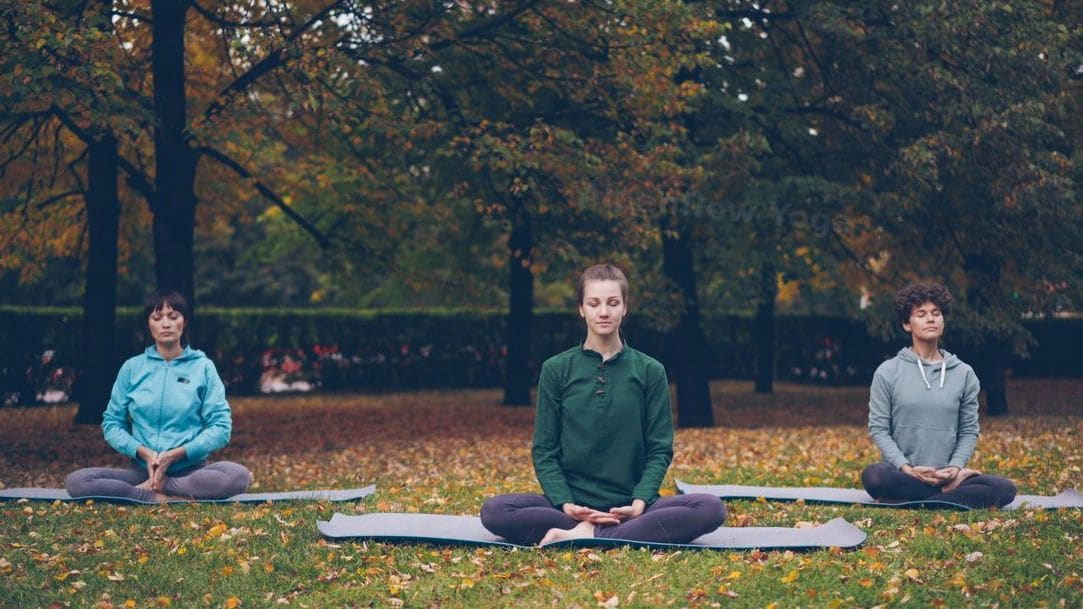 Alpenflow Yoga 12
