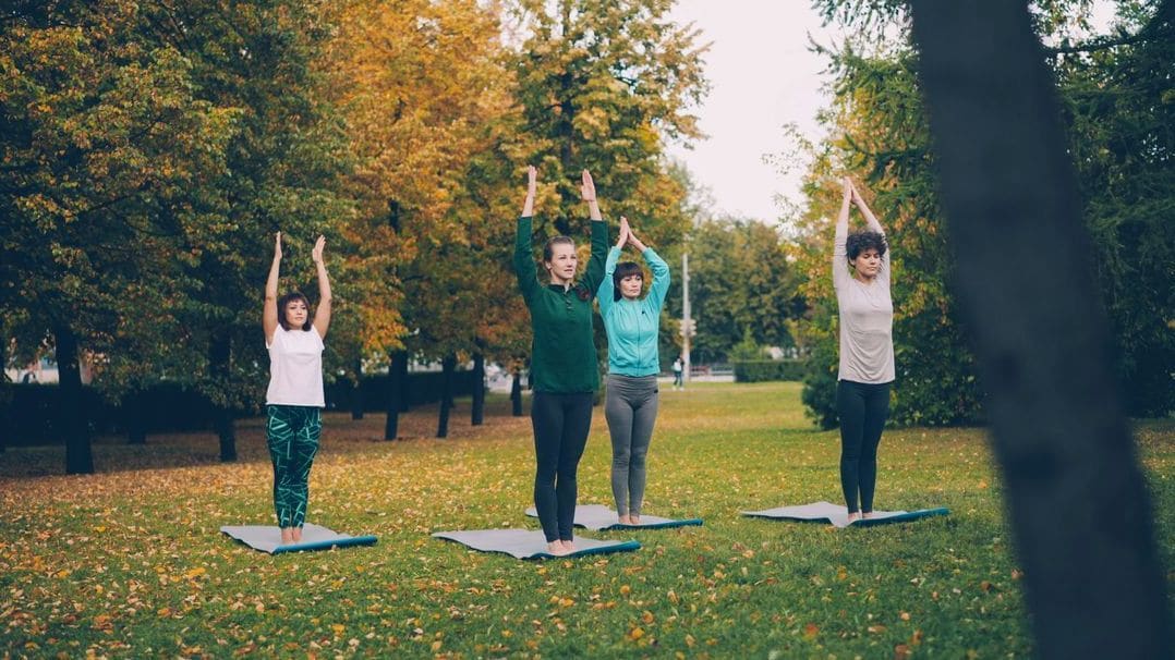Alpenflow Yoga 13